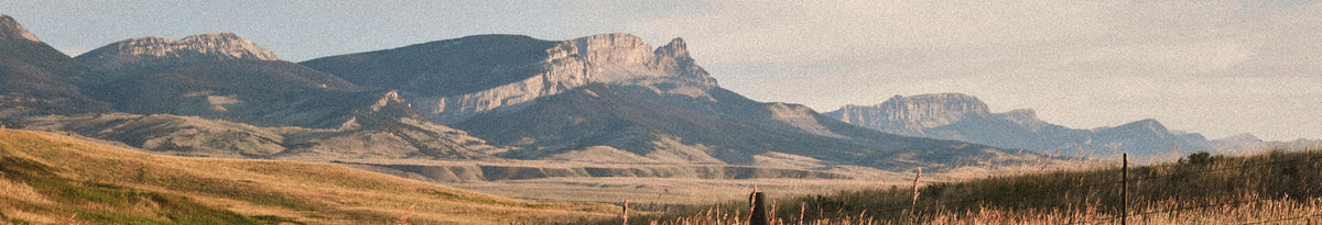 Montana Pemmican
