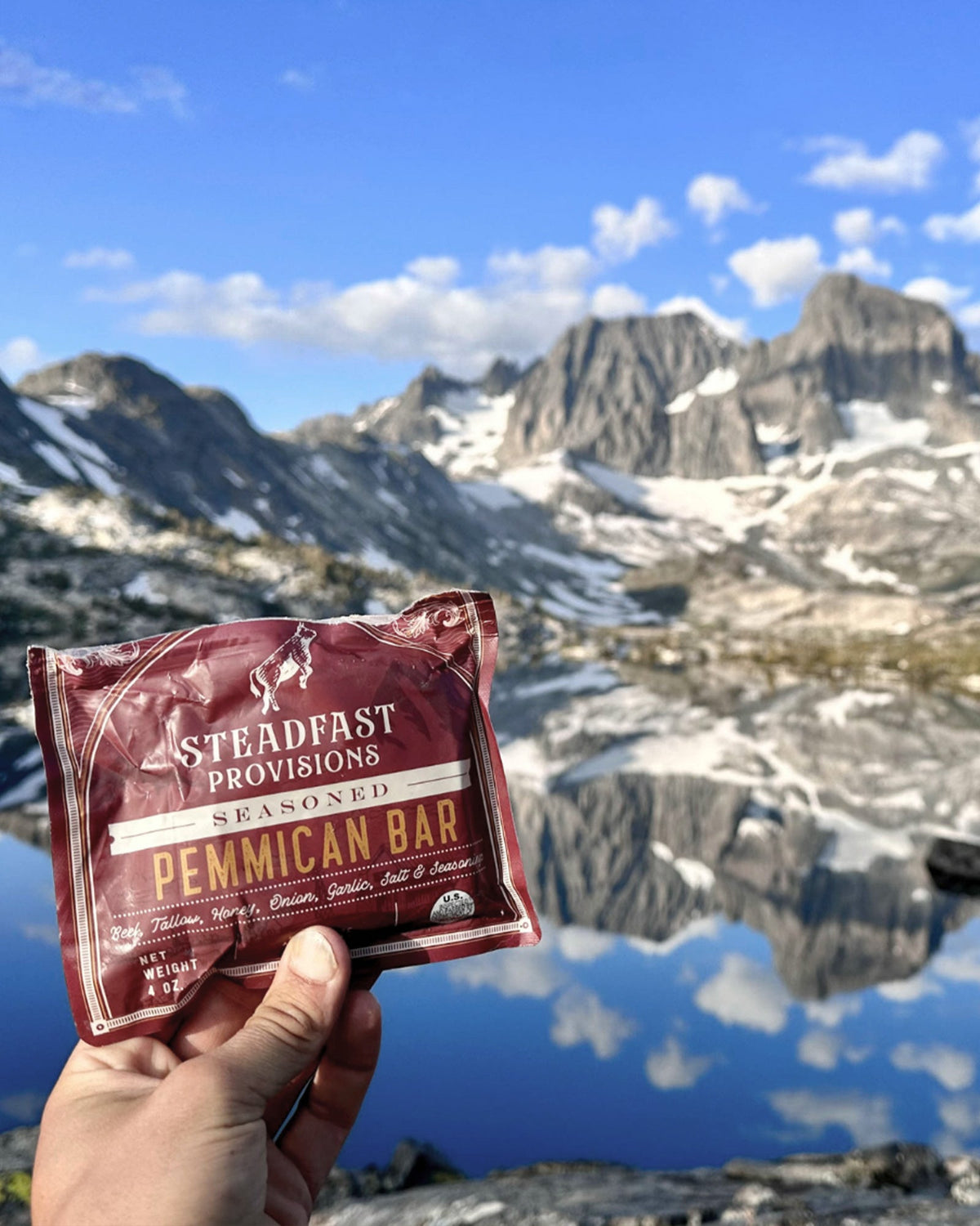 Pemmican Meal Bar Steadfast Provisions Webstore