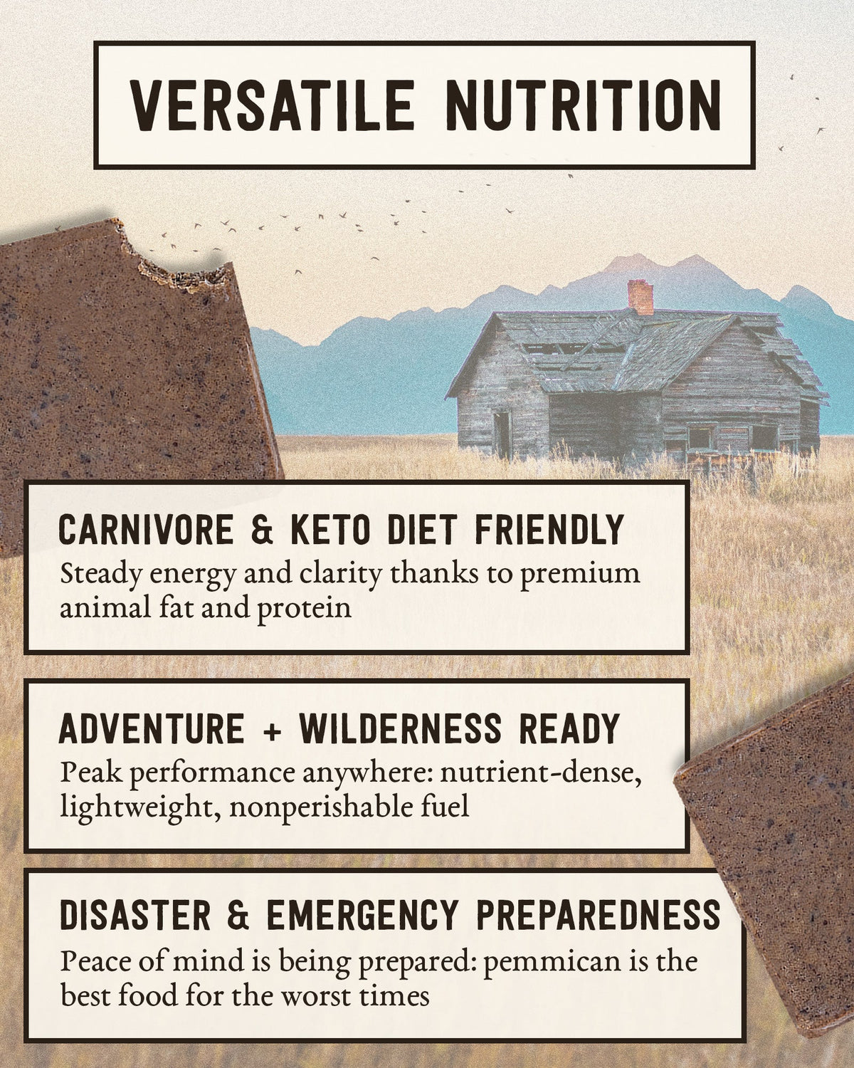Pemmican Meal Bar Steadfast Provisions Webstore