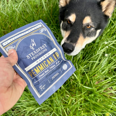 Sampler: Pemmican Bar Selection Steadfast Provisions