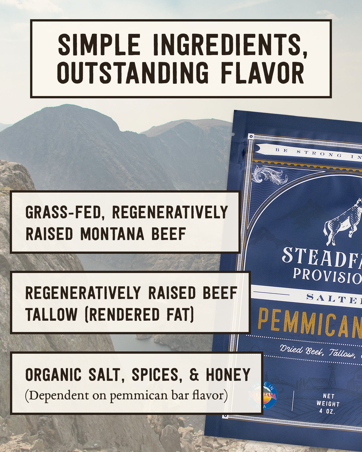 Pemmican Meal Bar Steadfast Provisions Webstore