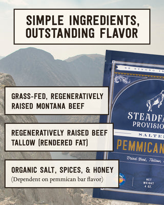 Pemmican Meal Bar Steadfast Provisions Webstore