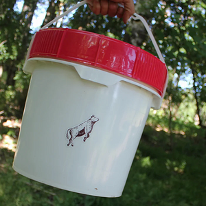 Seven Bricks Pemmican Bucket:<BR>"Three Weeks" Steadfast Provisions