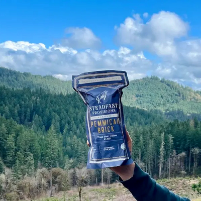 Pemmican Brick:<BR>"Three Days" Steadfast Provisions Webstore