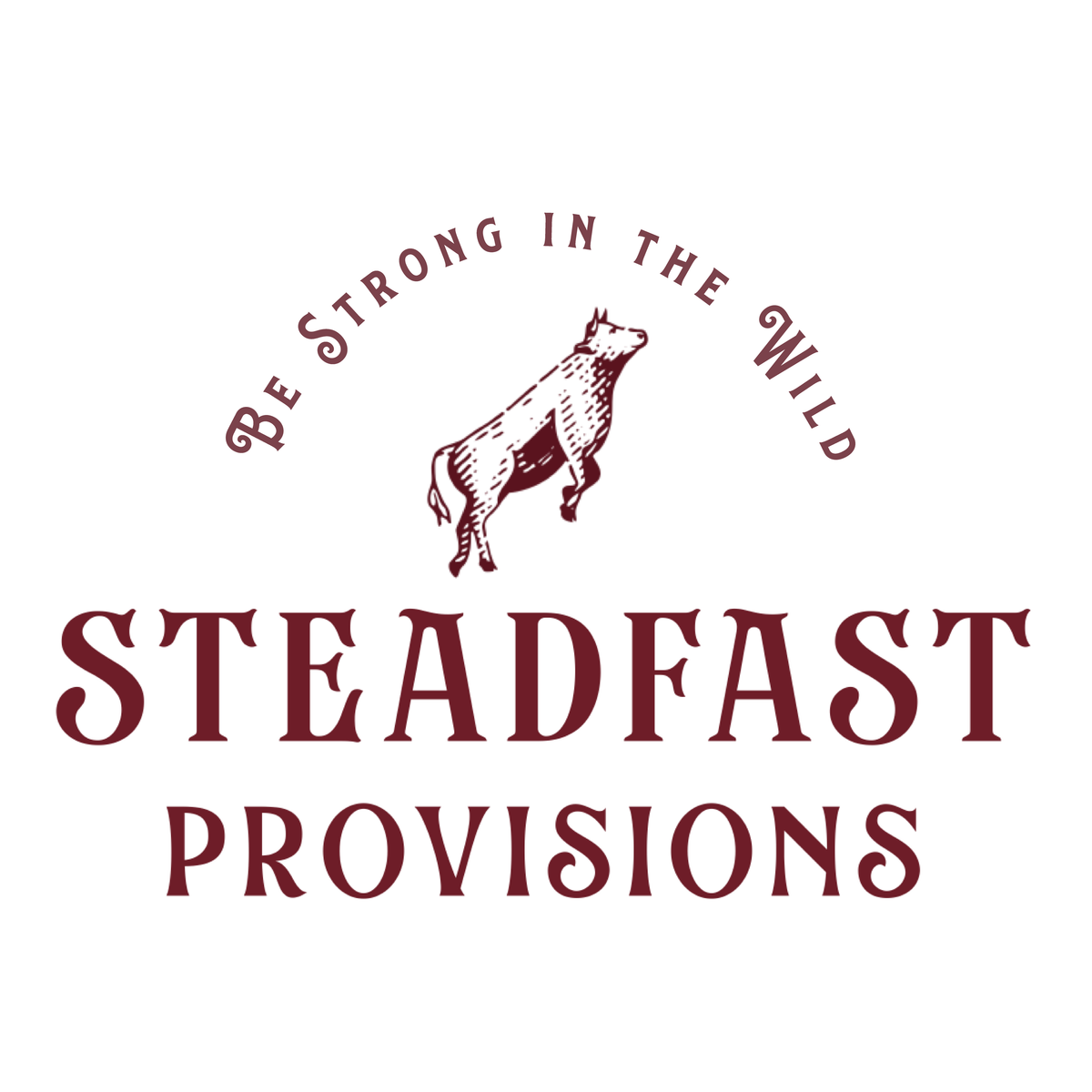Steadfast Provisions Journal Page 3