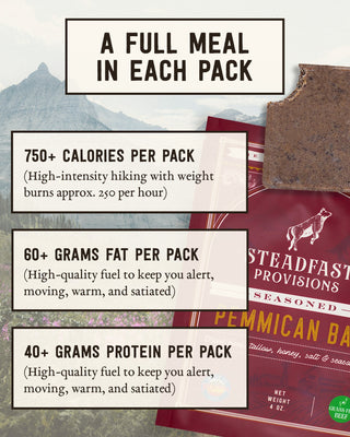 Pemmican Meal Bar Steadfast Provisions Webstore