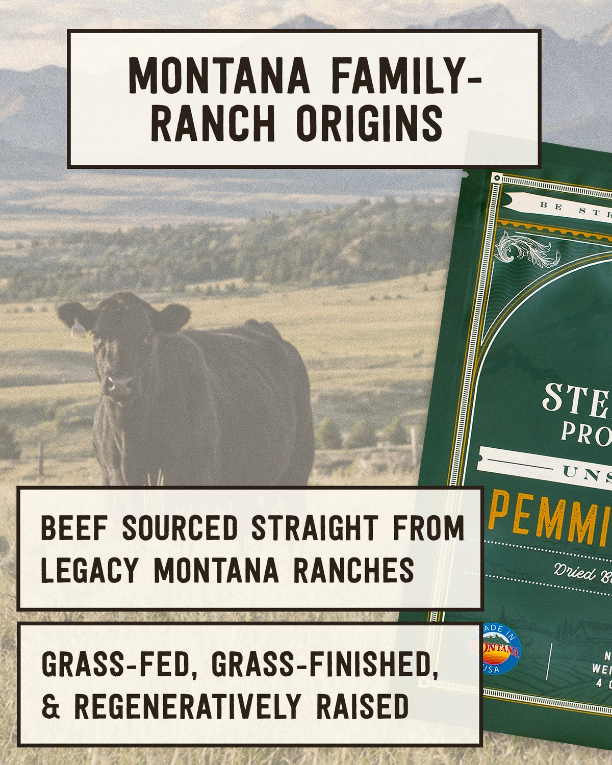 Pemmican Meal Bar Steadfast Provisions Webstore