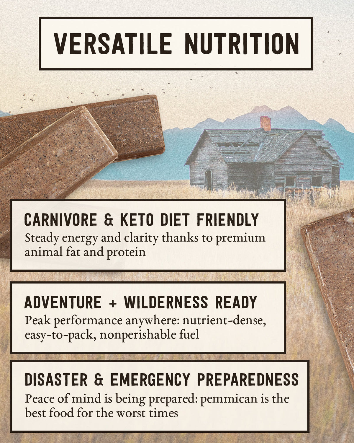 Pemmican Brick Steadfast Provisions Webstore